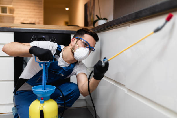 Best Flea Control Services  in Lexington, OH