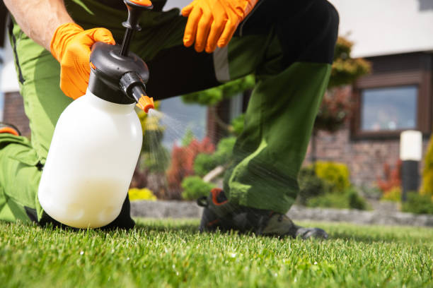 Best Pest Prevention Services  in Lexington, OH