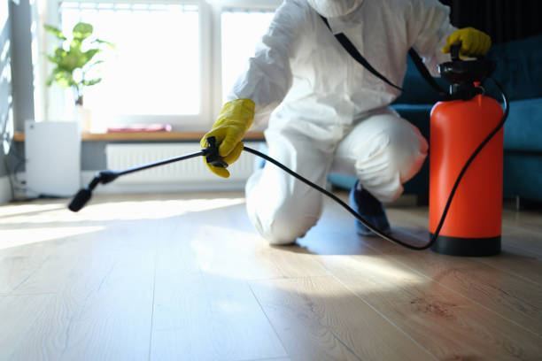 Best Affordable Pest Control Services  in Lexington, OH