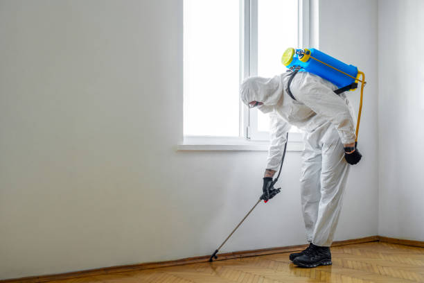 Best Exterminator Services  in Lexington, OH