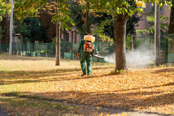 Best Pest Control Treatment  in Lexington, OH