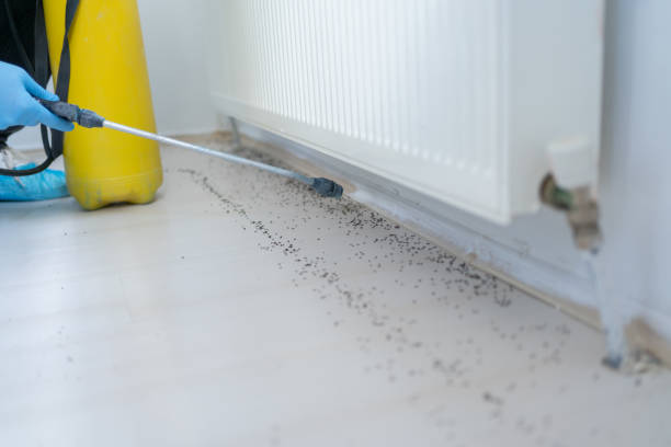 Best Cockroach Control Services  in Lexington, OH