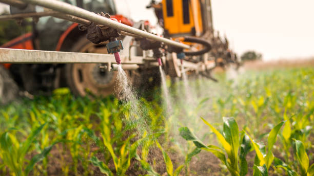 Reliable Lexington, OH Pest Control Solutions